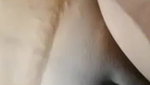 Beautiful Shy Wife