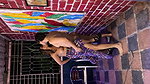 Pihu app