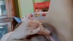 Huge Boobs Bengali Babe Pressing Boobs Fingering Pussy Moaning