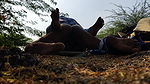 Desi Bhabhi Outdoor Sex