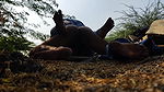 Desi Bhabhi Outdoor Sex