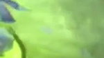 Bengali Girl Fucking And Taking Cum On Face