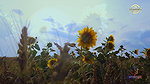 Sultry Swati – Sun Flower