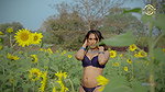 Sultry Swati – Sun Flower