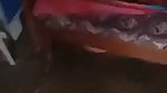 Fucked With Moaning