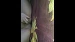 Bengali cute bhabi large collection