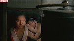 ai saotome – fireflies in the north