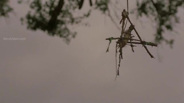 Frame 10