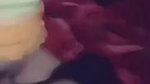 Beautiful girl riding on dick