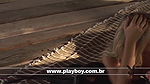 andressa ribeiro – playboy melhores making ofs vol13