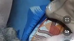 Nisha Tango Private Live