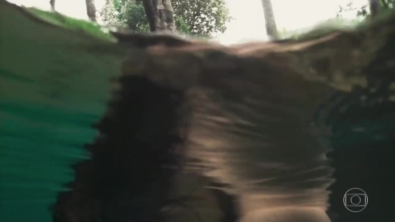 Frame 10