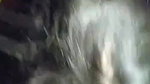 Cute girl 2 clips Marged