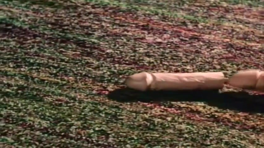 Frame 10