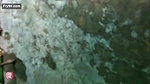 Village girl fucking 5 clips Marged