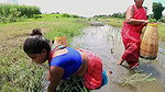 Village Womens Amazing Fishing
