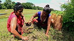 Village Womens Amazing Fishing