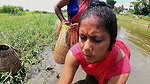 Village Womens Amazing Fishing