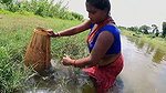 Village Womens Amazing Fishing