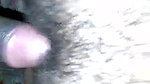 Desi sexy village wife hiry pussy fucking