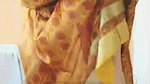 Horny Tamil Wife Fingering