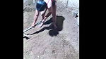 Nude desi housewife working in her farm