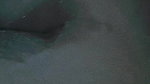 Bigass Horny Chubby Tanker Gf Showing & Fingering Updates41