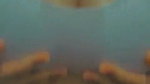 Bigass Horny Chubby Tanker Gf Showing & Fingering Updates84