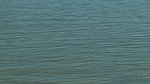 Ishit Yamini, Pooja Prabhat semi topless shots Marigold short film 22