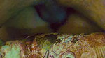 Anu shared with Friend in hotel room, empty condom on her vagina 22