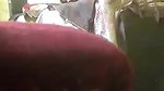 Paid Slim Girl Fucking With Customer Secretly Recorded 3 Video 24