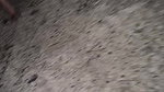 Sexyindianwife nude walking outside road and pussy fingering dare video 22