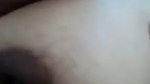 Godf 1 1