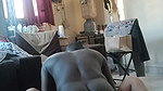 Busty maal