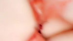 XoMorganLane Onlyfans video collection – 494
