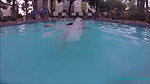 SSBBW Swimming