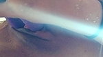 Layndare Onlyfans video collection – 34