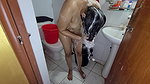 Desi bhabir hot gosol I see aunty taking a bath naked in the washroom I hugged her and started fucking her in the ass