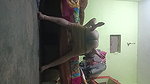 Desi Pregnant Bhabhi Ki Jabardast Chodai