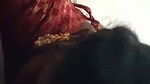 Tamil Wife Blowjob