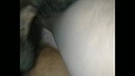 New Bangla video Hindi Sex