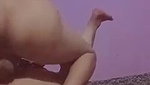 Punjabi Bhabhi Fucking with Her Boyfriend and Cheating Her Husband