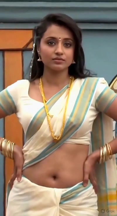 Trisha adjusting saree wantedly to reveal and tempt 248