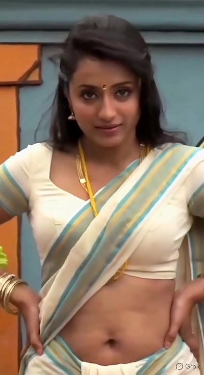 Trisha adjusting saree wantedly to reveal and tempt 250