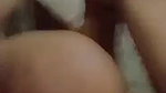 G__2_4