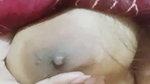 Horny Bengali Girl Showing Pressing Boobs Rubbing Pussy updates 239