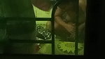 HOT HORNY MAAL BHABHI STRIPPING SHOWING SAGGY BOOBS PUSSY & BIGASS 5 CLIPS  23