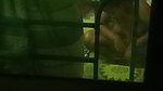 HOT HORNY MAAL BHABHI STRIPPING SHOWING SAGGY BOOBS PUSSY & BIGASS 5 CLIPS  23