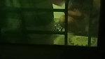 HOT HORNY MAAL BHABHI STRIPPING SHOWING SAGGY BOOBS PUSSY & BIGASS 5 CLIPS  23