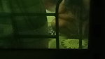 HOT HORNY MAAL BHABHI STRIPPING SHOWING SAGGY BOOBS PUSSY & BIGASS 5 CLIPS  23